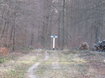 Randonnée A pied Pont-Sainte-Maxence - petite remise en forme - Photo