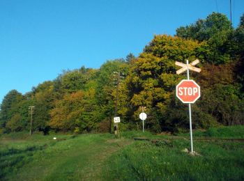 Excursión A pie okres Krupina - Náučný chodník Koháryho dub - Photo