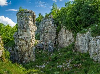 Tour Zu Fuß Bezirk Leutschau - Sivá Brada - Dreveník - Photo