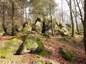 Randonnée A pied Wald-Michelbach - Rundwanderweg Wald-Michelbach Am Bannholz 3: Tromm-Weg - Photo