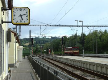 Excursión A pie Olbramovice - [Ž] Olbramovice - Maršovice - Photo