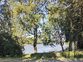 Tocht Stappen Landevieille - lac du jaunay - Photo