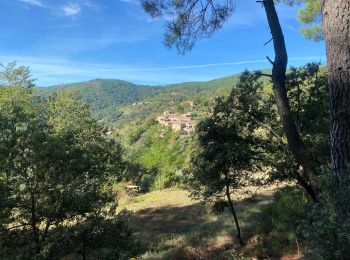 Tour Wandern Faugères - Fauveries - Photo