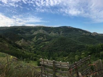 Tour Zu Fuß Cistierna - La Huella de las Legiones - Photo