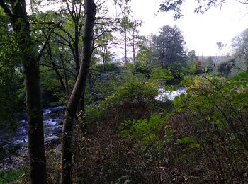 Trail Walking Sentheim - Bucherg - Photo