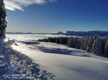 Randonnée Raquettes à neige Crêts-en-Belledonne - randonnée raquette le Grand Rocher. le Crêt du Poulet  - Photo