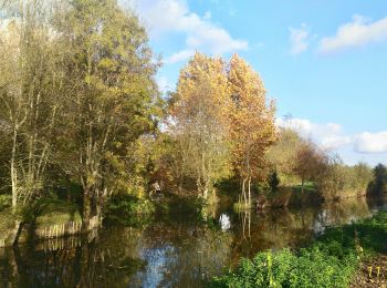 Tour Wandern Coulon - Village de La Sèvre (pont Irleau)9,4km - Photo