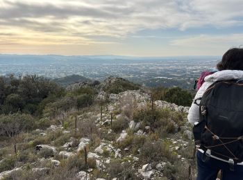 Trail sport Cheval-Blanc - Vidauque vallon colombier es - Photo