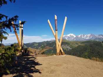 Percorso Bicicletta elettrica Hauteluce - 2020.08.19-8,3km-Les Saisies Beneton Chard du Beure piste VTT Les Saisies - Photo