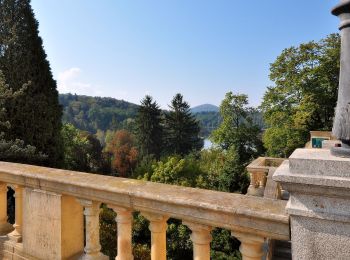 Randonnée A pied Poříčí nad Sázavou - [Č] Poříčí n. S. - Benešov - Photo