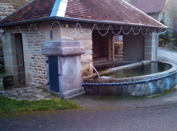 Tocht Te voet Cléron - Cléron Château de Scey - Photo