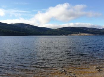 Trail Walking Schluchsee - Schluchsee - Photo