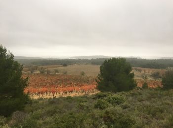 Tour Wandern Bages - Prat-de-Cest - Abbaye de Fontfroide - Photo