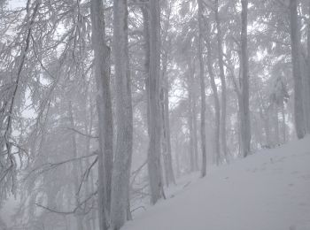 Trail Snowshoes Le Valtin - la schlucht raquettes jan 23 - Photo