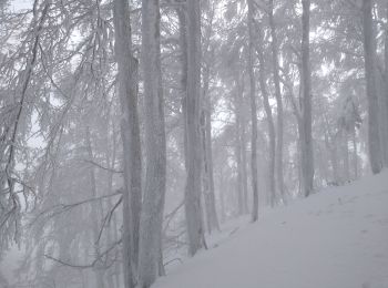 Randonnée Raquettes à neige Le Valtin - la schlucht raquettes jan 23 - Photo