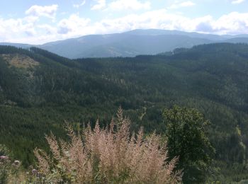 Randonnée A pied Gemeinde Spital am Semmering - Semmering - Sonnwendstein über Dürrgraben - Photo