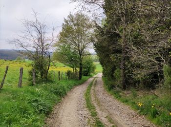 Trail Walking Gouvy - Au fil de l'eau - Gouvy - Photo