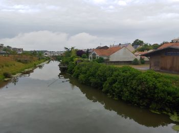 Randonnée Marche Pornic - corniche gourmalon - Photo