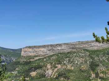 Tour Wandern Rémuzat - les Aiguilles de Remuzat - Photo