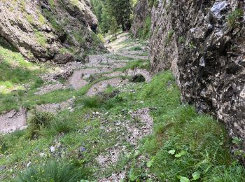 Percorso Marcia Marebbe - J6 La villa refuge Gardenacia - Photo