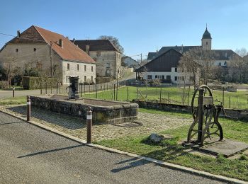 Percorso A piedi Nancray - Sentier du Fonteny - Photo