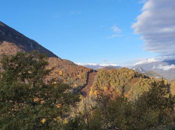 Trail Walking Cazenave-Serres-et-Allens - cabane du Pla de Tabe en A/R - Photo