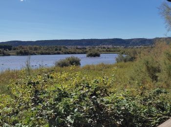 Trail Walking Châteauneuf-les-Martigues - Étang de Bolmont  - Photo