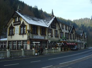 Tocht Te voet Harz (LK Goslar) - HK 6: Osterode - Söse - Okertal - Goslar - Photo