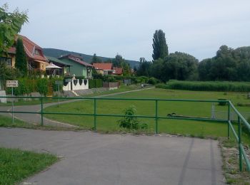 Tour Zu Fuß Freistadt - Nagymarosi Gesztenyés Tanösvény - Photo