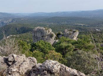 Randonnée Marche Causse-de-la-Selle - monthaud - Photo