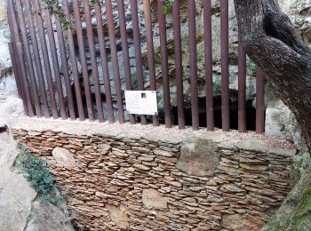 Randonnée Marche Cassis - les crêtes du cap Canaille, du pas de la colle à la  grotte des émigrés  - Photo