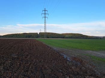 Randonnée Marche Floreffe - reperage soye2024 - Photo