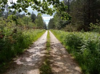 Trail Walking Le Buisson-de-Cadouin - Cadouin 11,6km - Photo