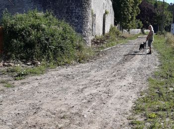 Tocht Stappen Ouffet - ouffet fermes ac + - Photo