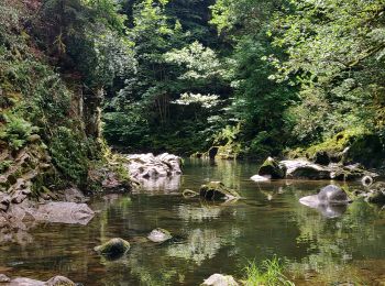 Tour Reiten Gerbamont - 2022-06-05 Rando CVA Gerbamont Dommartin les Remiremont - Photo
