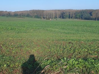 Randonnée Marche Crisnée - otrange - Photo