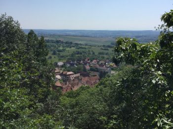 Tocht Stappen Niederbronn-les-Bains - Niederbronn Oberbronn - Photo