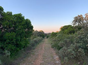 Tocht Stappen Nîmes - Bois de Mittau et bois des Espeisses - Photo