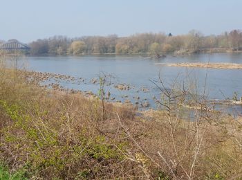 Tour Rennrad Saint-Laurent-Nouan - Bords de Loire - Chambord  - Photo