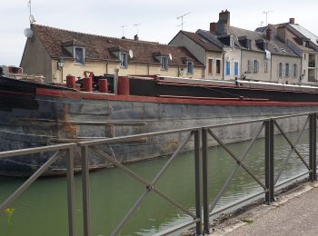 Tour Wandern Montargis - Montargis 45 6km4 - Photo