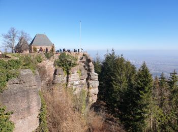 Excursión Senderismo Ottrott - Mont Sainte-Odile - Tour du mur Païen - Photo