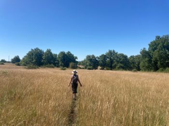 Excursión Senderismo Montfaucon - Le bastit carlucet  - Photo