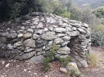 Excursión Senderismo Lansac - lansac chemin du coq roc et tour 6km 200m limodore possible  - Photo