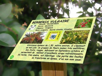 Tour Wandern Furmeyer - R05 - Le Sentier botanique de Furmeyer, la boucle des Charrières - Photo