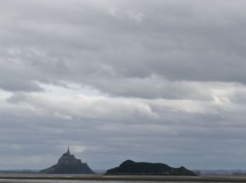 Randonnée Marche Genêts - Mont Saint Michel  - Photo