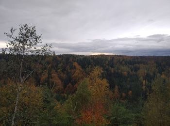 Randonnée V.T.T. Raon-l'Étape - VTT La Trouche- Neufmaisons 03/11/19 - Photo