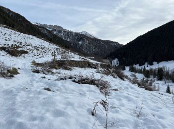 Tocht Stappen Saint-Sauveur-sur-Tinée - Mollières Hiver - Photo