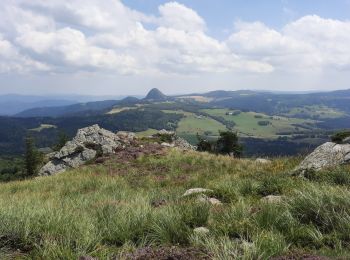 Trail Walking Saint-Martial - Sucs de Montfol et de La Lauziere 11km - Photo