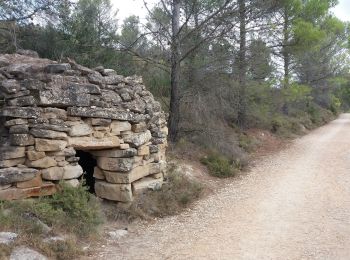 Excursión Senderismo Los Arcos - Viana - Photo