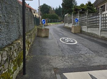 Tour Wandern Brétigny-sur-Orge - Brétigny-sur-Orge - Parcs Bassins Basilique Châteaux - Photo